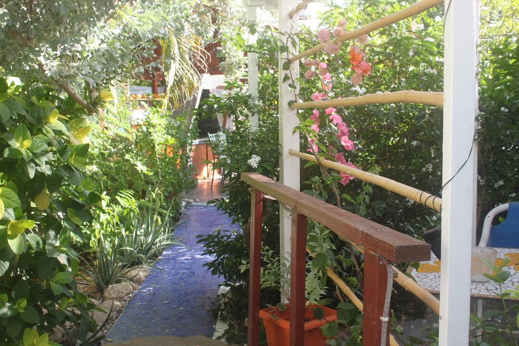 Sunflower Villa Studios Palm Beach Екстер'єр фото