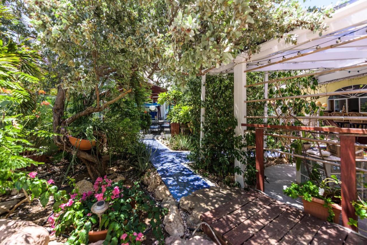 Sunflower Villa Studios Palm Beach Екстер'єр фото