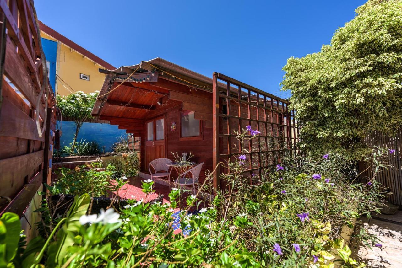 Sunflower Villa Studios Palm Beach Екстер'єр фото